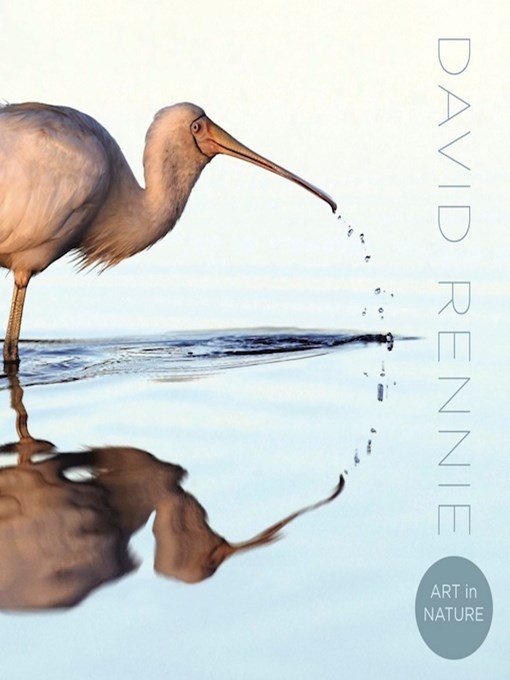 Title details for Art in Nature by David Rennie - Available